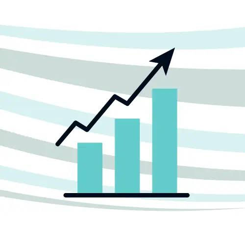 SEO South Belfast | Local SEO & Google Maps Rankings | Black Rhino