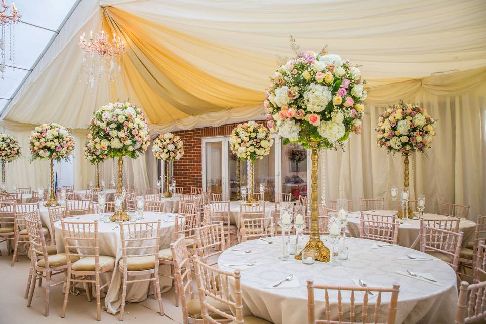SEO for Event Hire Companies: More Bookings