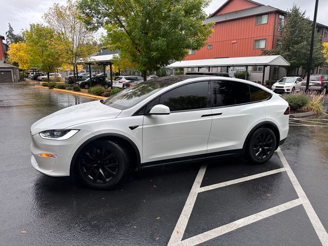 Google Ads and SEO for Tesla window tinting enquiries